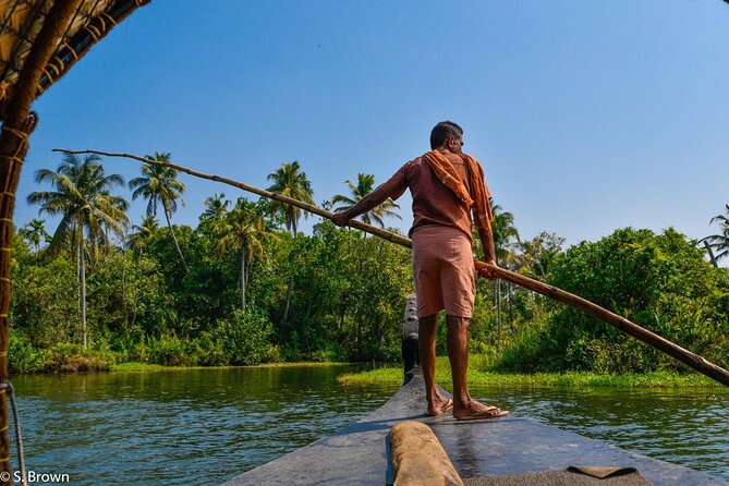 Half-Day Eco Punting and Village Backwater Cruise from Cochin - From Wilson Tours to Vaikom: how the timing sets the mood