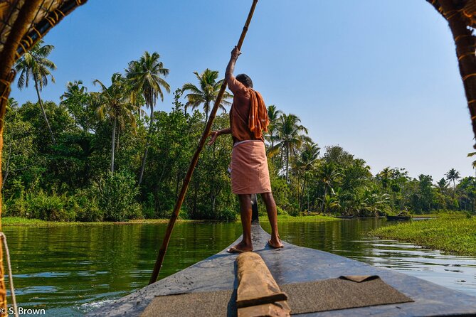 Half-Day Eco Punting and Village Backwater Cruise from Cochin - Should you book it? My practical take