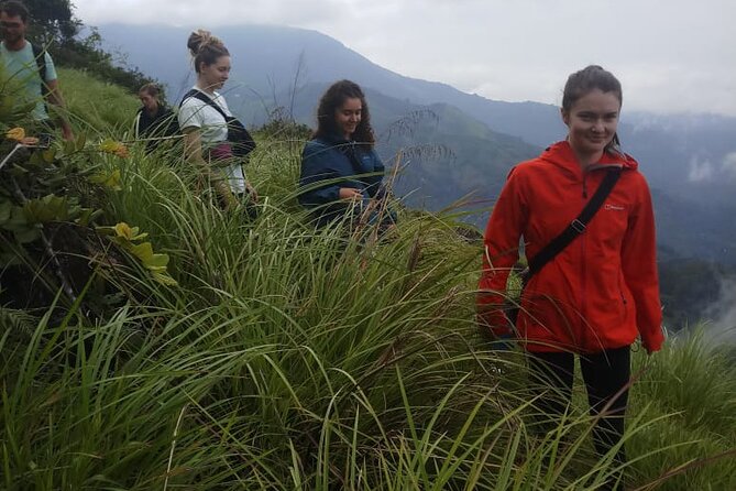 Half Day Hiking in Munnar Trekking Tour - Price and value: what $15 really buys you