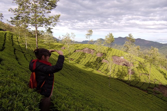Half day trekking (munnar valley Trekking & Tours ) - Who This Trek Suits (and Who Might Want a Gentler Plan)