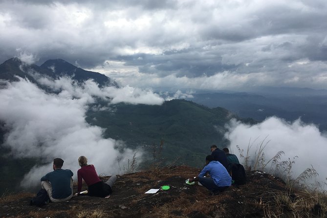 Half day trekking (munnar valley Trekking & Tours ) - Rijo Villa Morning Start: Timing, Meet Point, and What It Feels Like