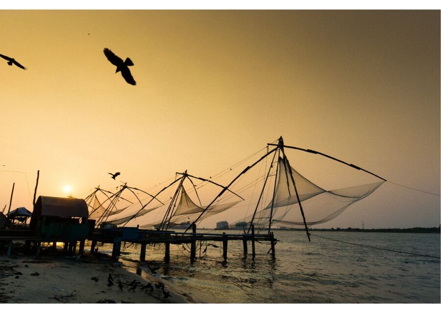Heritage & Cultural Walk of Kochi (2 Hours Guided Tour) - Key Things I’d Put on Your Radar