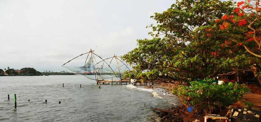 Highlights of Cochin: Group Tour from Cochin Port - Chinese Fishing Nets: a 14th-century idea still in use