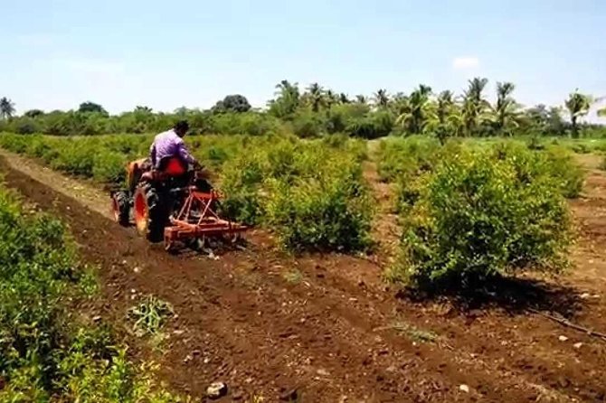 Hill station farm house stay - From Kochi to the farm: what makes this trip work