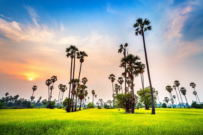 Kerala 6 Day Tour Munnar Thekkady Alleppey Kovalam Beaches - Day 3 to Thekkady: Periyar Wildlife Sanctuary plus spices and a cultural show