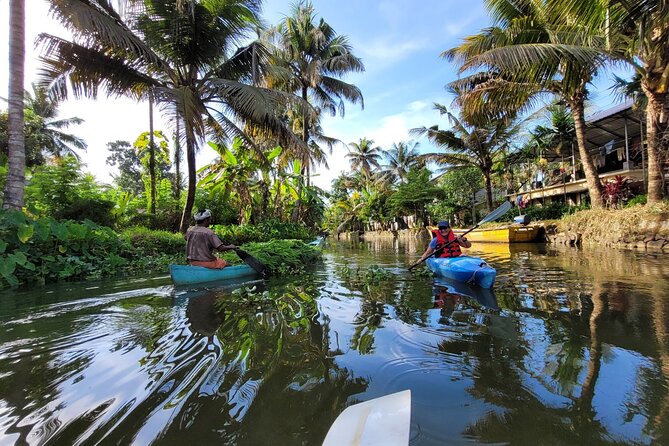 Kerala Backwater Village Kayaking Tour: Alleppey - Timing, Weather, and Booking Smart Moves