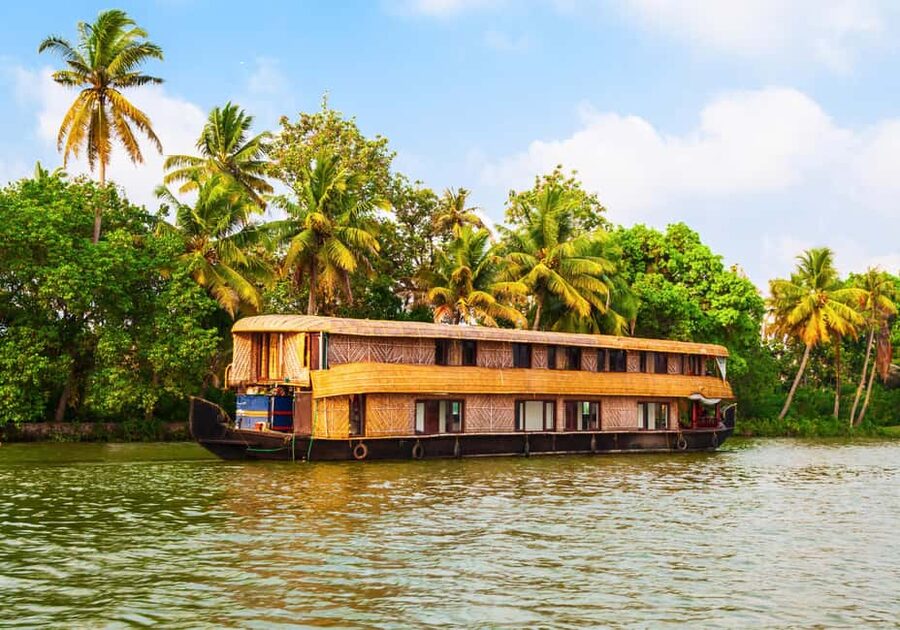 Kochi: 1 Night Alappuzha Backwaters House Boat Cruise Tour - Entering Alappuzha’s Backwaters (Venice of the East, but calmer)