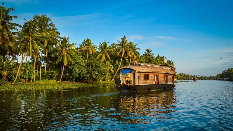 Kochi: Backwater Exploration in Village: Free Pickup & Drop - Who this tour suits best (and who should skip it)