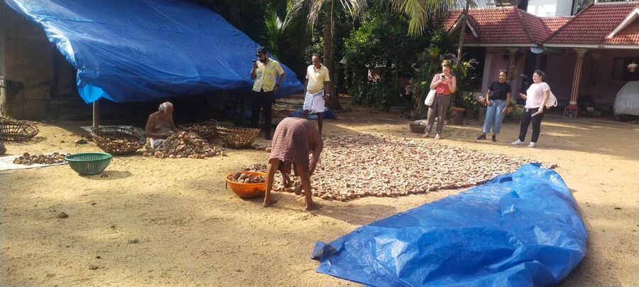 Kochi: Backwater Exploration in Village: Free Pickup & Drop - Village stops you can watch: coir, mats, spinning, and clam processing