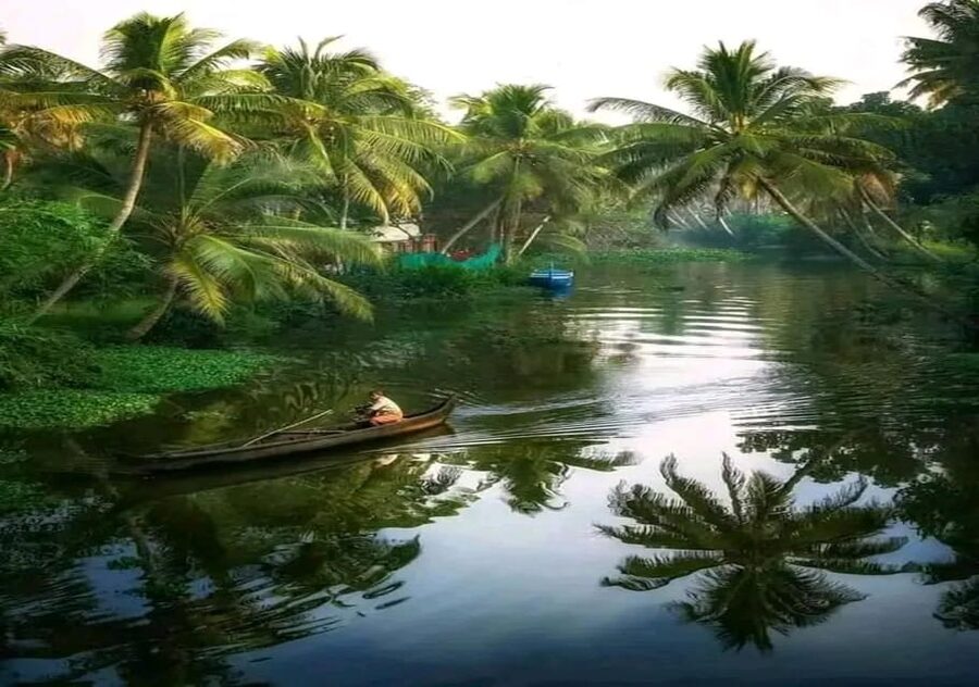 Kochi: Backwater Exploration in Village: Free Pickup & Drop - How much $63 really buys: value in access, food, and guides