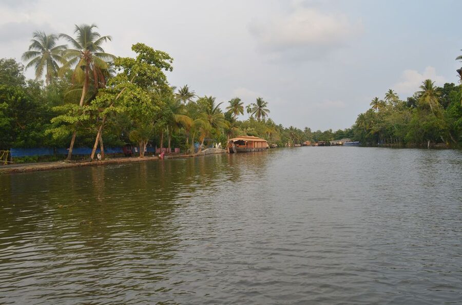 Kochi: Private Backwater Houseboat Day Cruise with Transfers - How the Cochin-to-Backwaters Day Feels Easy