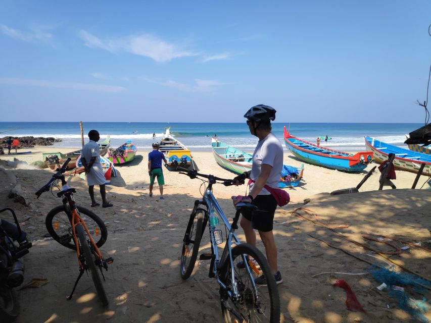 Kochi to Marari/ Kumarakom/ Alleppey eBike/Cycling Tour - Price and value: $98 that’s mostly about what’s included