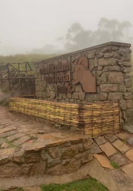 Kochi to Munnar: Eravikulam, lockhart & Waterfalls day tour - Kochi to Munnar in one long day: what the 12 hours really feel like