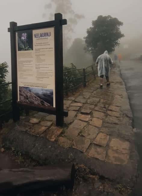 Kochi to Munnar: Eravikulam, lockhart & Waterfalls day tour - Eravikulam National Park and Nilgiri Tahr: where the hike meets the wildlife rules