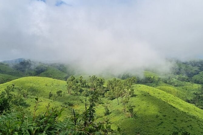 Kochi to Munnar Private Full Day Guided Tour With Hotel Pickup - Key things I’d pay attention to
