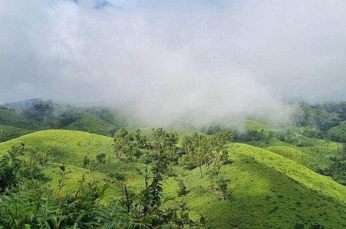 Kochi to Munnar Private Full Day Guided Tour With Hotel Pickup - Making Munnar Work as a One-Day Trip from Kochi