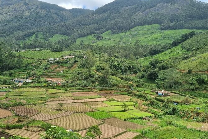 Kochi to Munnar Private Full Day Guided Tour With Hotel Pickup - Stop 1: Cheeyappara Waterfalls on the Way Up