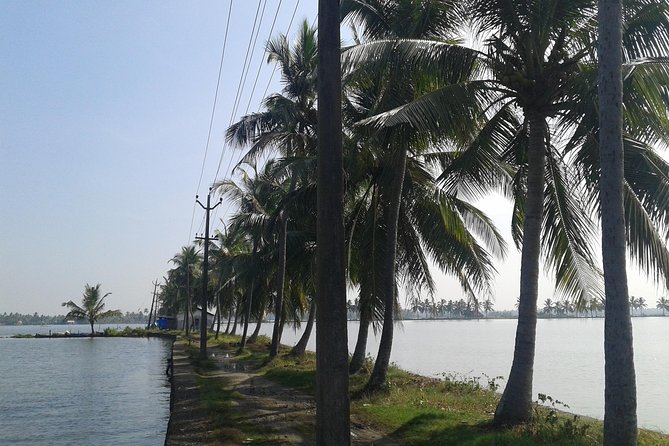 Kochi Village Life Experience tour - The Real Tour of Kochi ! - Key highlights you’ll actually care about