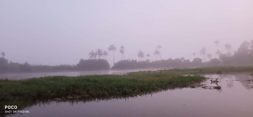 Kumarakom: Sunrise Cruise With Village Life and Local Food - Toddy tapping: the coconut sap ritual you can actually watch