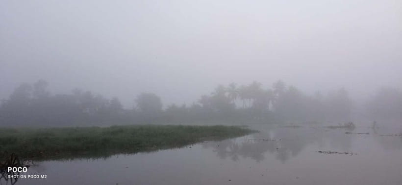 Kumarakom: Sunrise Cruise With Village Life and Local Food - Kerala breakfast after the canoe: the part that makes it feel complete