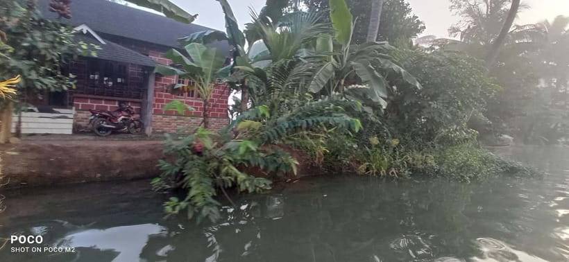 Kumarakom: Sunrise Cruise With Village Life and Local Food - Price and value: is $65 per person worth it?