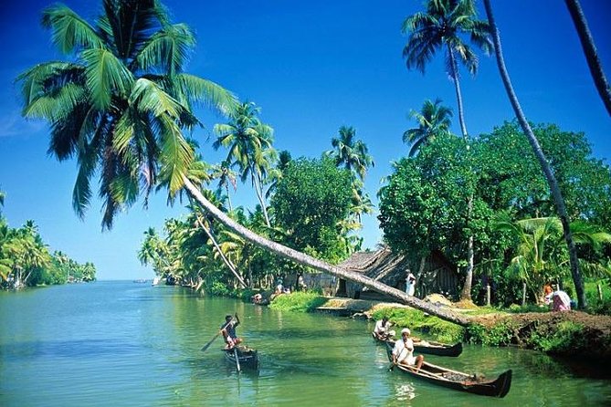 Kumbalangi Village Sightseeing Tour - Price and value: is $130.67 per person a good deal?