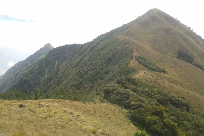 Meesapulimala Sunrise trek( By Munnar Info) - Sunrise Above Munnar: Why Meesapulimala Works So Well