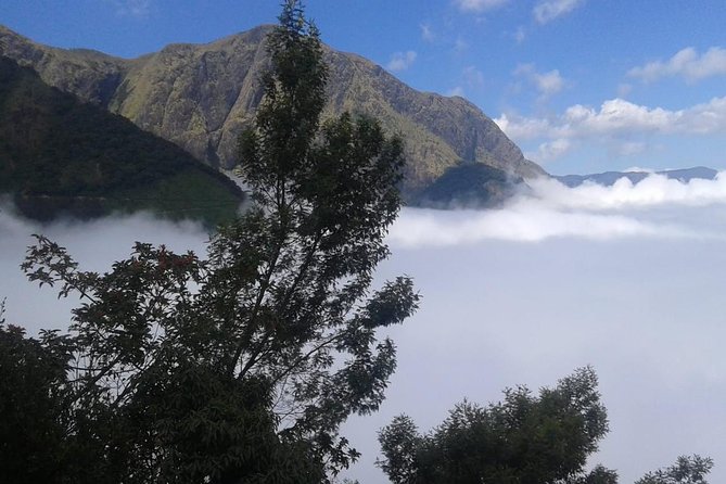 Meesapulimala Sunrise trek( By Munnar Info) - Price and Value: What $130 Per Group Actually Buys