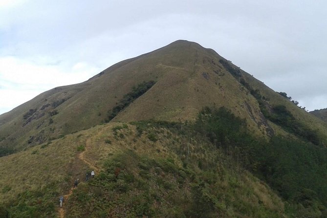Meesapulimala Sunrise trek( By Munnar Info) - Private Tour for Up to Two: Why the Pace Feels Easier