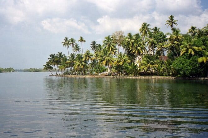 Midday Cruise with Village Life - Key highlights you’ll actually care about