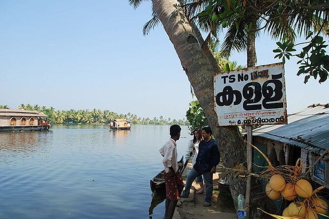 Midday Cruise with Village Life - Bird sanctuary stop: local and migratory birds in a focused setting