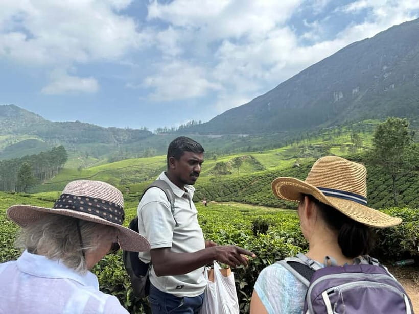 Mountain hiking in Munnar (Half day ) - Where Lakshmi Hills Hiking Takes You Above Munnar