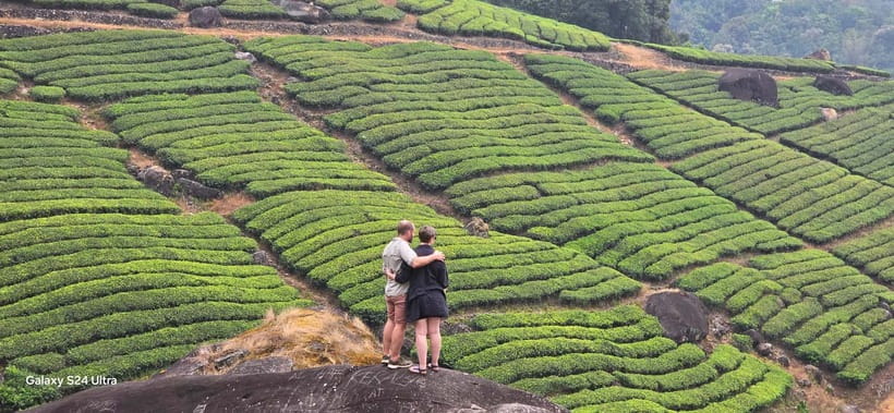 Mountain hiking in Munnar (Half day ) - Tea Plantations, Old Spice Crops, and Shola Forest Patches