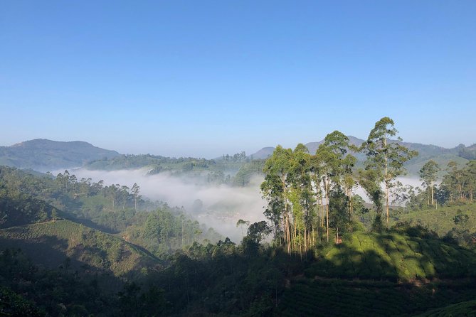 Mountain Hiking in Munnar (half day) By Munnar Info - Guides are the difference: what you can expect from the people leading you