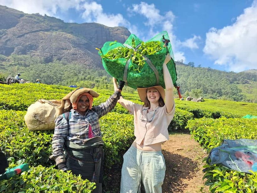 Mountain hiking in Munnar (Half day ) - The Real Trek Profile: 1420 m Start, 1800 m High Point