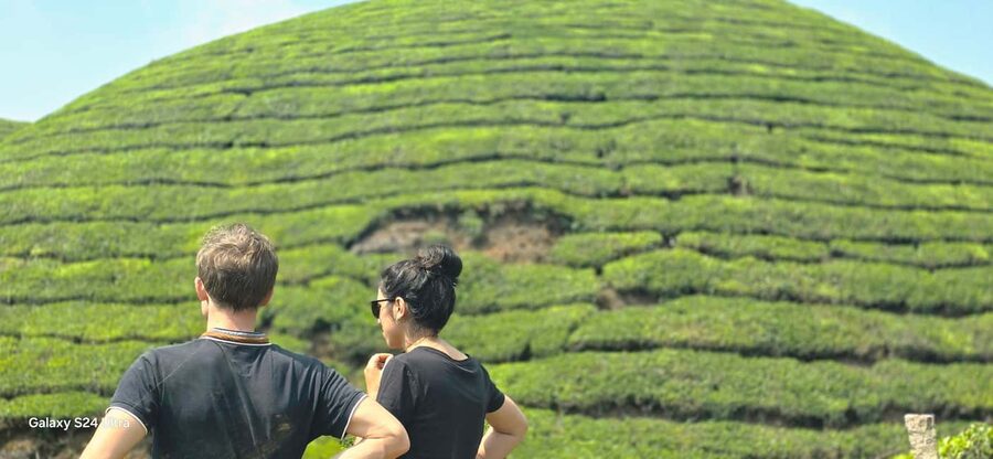 Munnar: Anakulam Jeep Safari to Explore Wild Elephants - The jeep drive: why the ride is part of the story