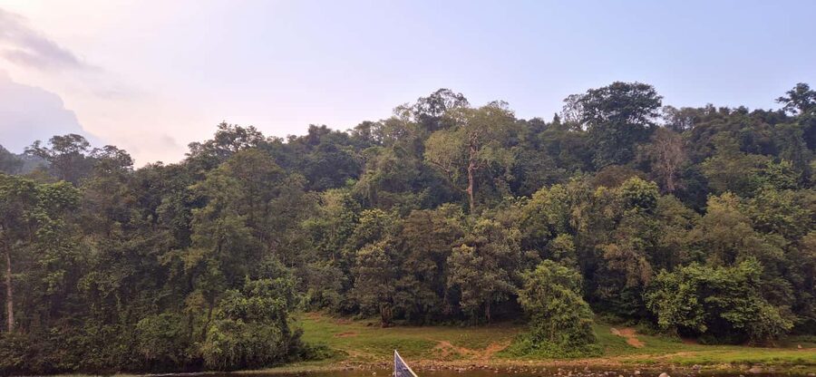 Munnar: Anakulam Jeep Safari with Waterfall and Elephant - Tiger Cave and Other Paid-Entry Stops: Plan for Fees and Watch Time