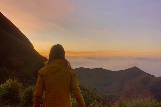 Munnar Daily Tour - Key Highlights Worth Your Time