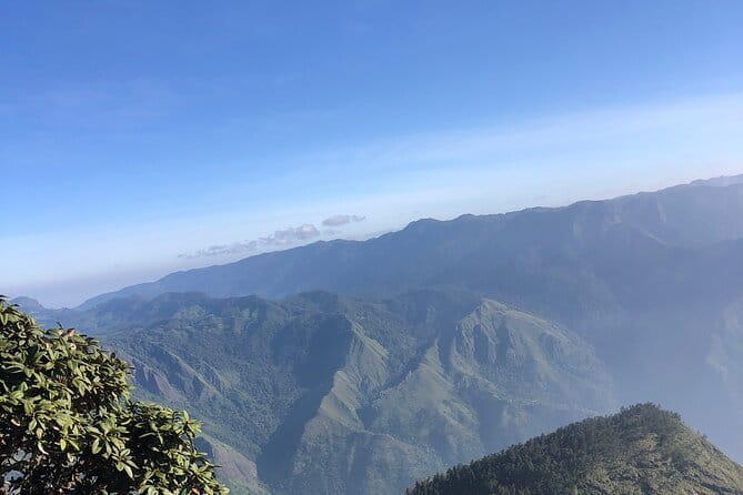 Munnar Daily Tour - Why This 2-Day Munnar Plan Works: Tea, Campfire, and a Dawn Peak