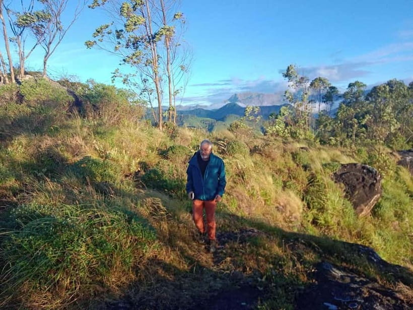 Munnar: Half day Guided Trek - Meeting at Munnar Info: simple start, real time outside