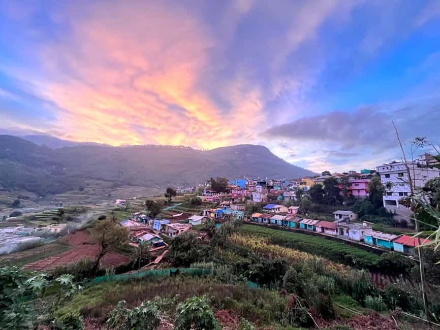 Munnar: Jeep Safari to Vattavada Village - Why This Munnar-to-Vattavada Jeep Day Feels Worth Your Time