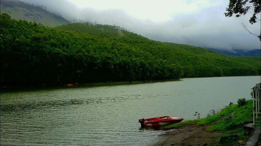 Munnar: Jeep Safari to Vattavada Village - Wildlife Chances (and How to Handle Them Without Stress)