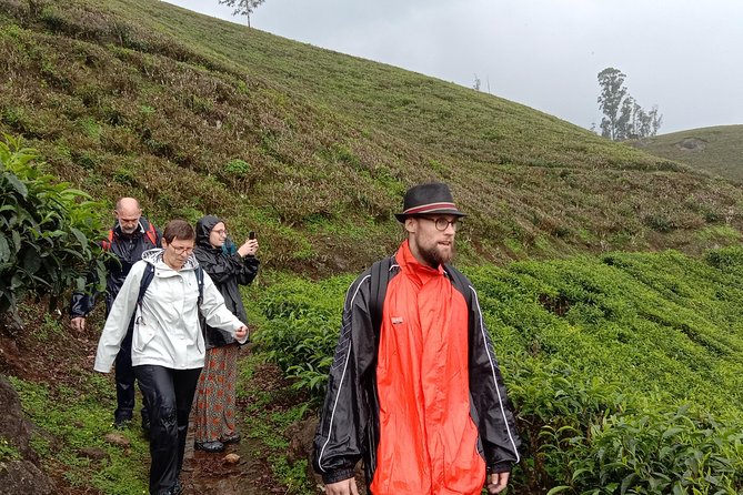 Munnar Letchmi hills Trekking - What the $17 price really covers in Munnar