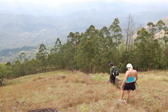 Munnar Letchmi hills Trekking - Pace and group size: why private feels calmer here