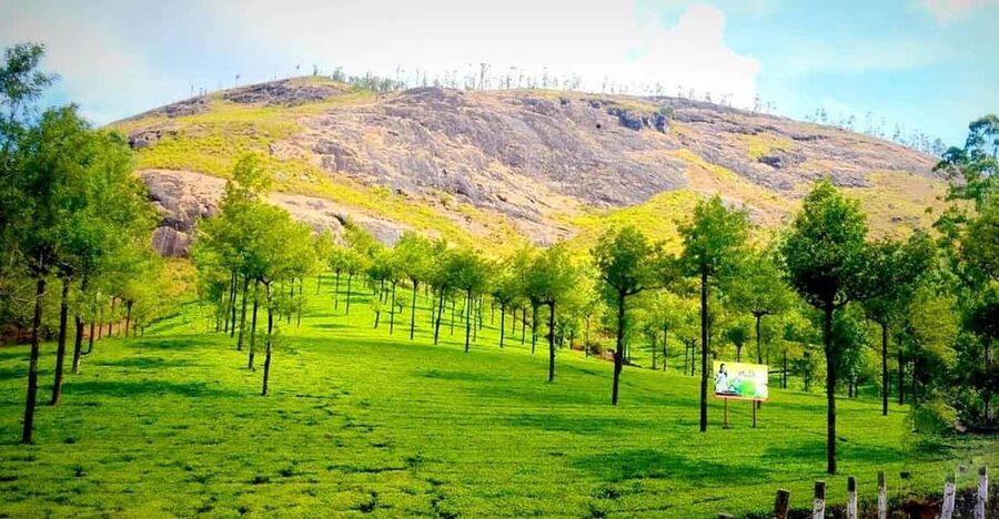 Munnar: Local Highlights Day Tour with Top station Visit - A Full-Day Munnar Loop That Trades Speed for Stops
