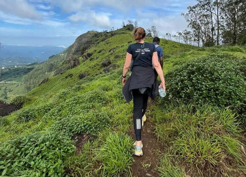 Munnar mountain hiking (Full day) - The walk itself: 14–18 km, about 7 hours, and pacing tips that matter