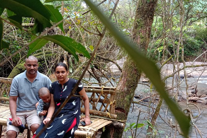 Munnar Mountain Jeep Safari - Key highlights to know before you go