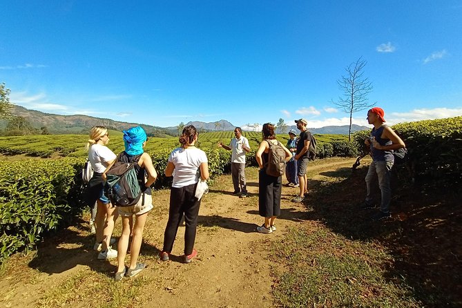 Munnar Mountain Trekking - The trek route in plain English: tea, forest, spice, and mountain views