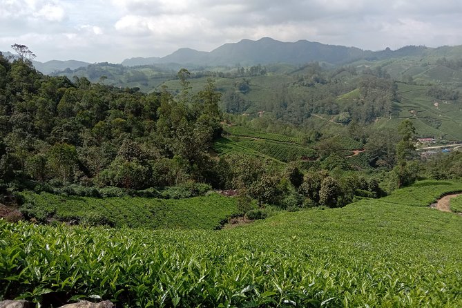 Munnar Mountain Trekking - Nature and wildlife photography: how to make the most of your stops