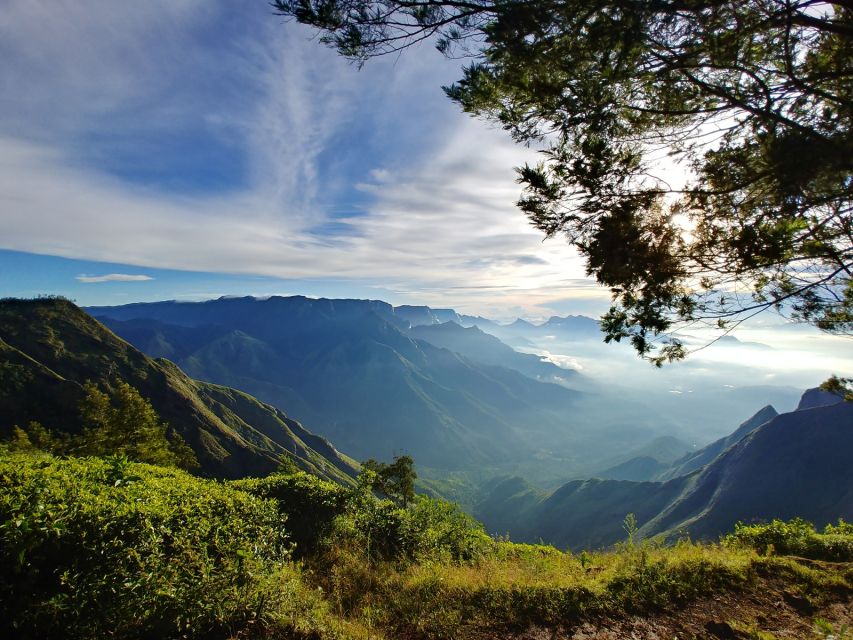 Munnar Private Day Trip - Mattupetty Dam and the tea museum: where the story starts making sense
